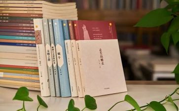 公司2023年总结暨2023年工作计划8篇