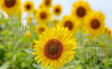 10月周工作计划范文8篇