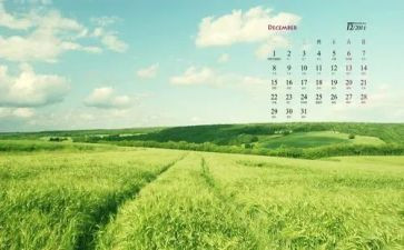中班12月份工作计划7篇