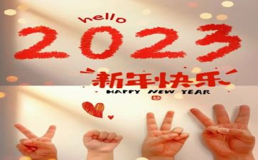 新农保2023年工作总结参考6篇
