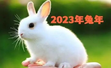 2023事业单位工作总结报告7篇