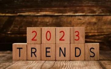 2023年质监科工作总结6篇