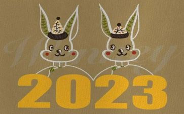 对2023的规划演讲稿精选8篇