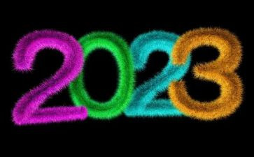 2023事业单位总结报告5篇