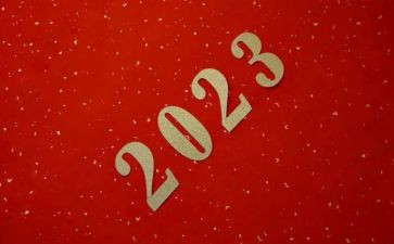 2023年医生年终总结优秀8篇