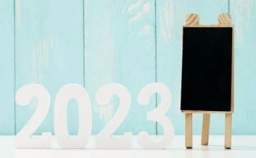 警察2023个人工作总结5篇