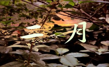 2月的工作总结推荐5篇