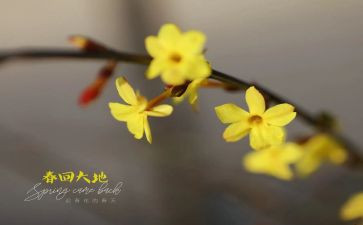 2月工作总结和工作计划6篇