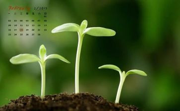 村2月份工作计划7篇