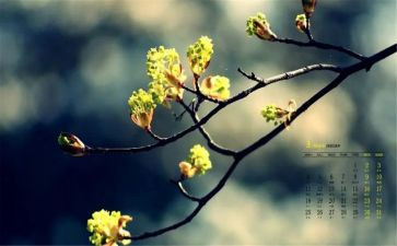 3月份大班工作计划6篇