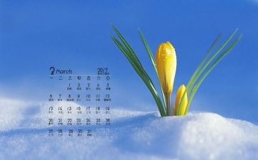 学前班3月份工作计划7篇
