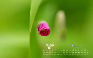 4月幼儿园小班月工作总结5篇