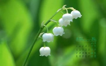 小学4月工作计划7篇