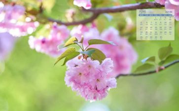 幼儿园4月的工作计划6篇