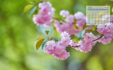 4月教育心得7篇