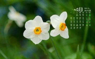 大班4月份工作总结6篇