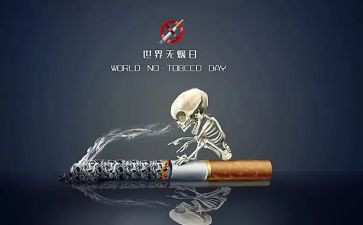 531工作计划范文优秀7篇