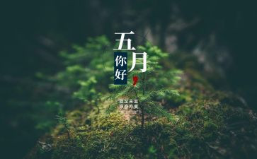 5月销售部工作总结6篇