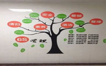 6s管理师心得体会5篇