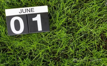 2024年大班6月份工作总结8篇