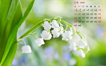 幼儿园6月度工作计划精选7篇