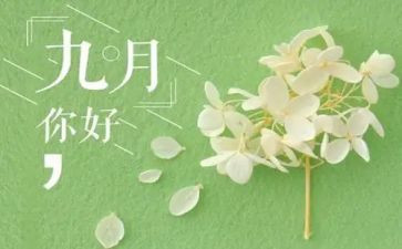 20239月工作总结参考6篇