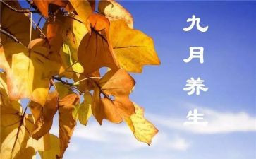 20239月工作总结通用6篇