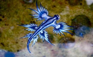生物学科工作计划7篇