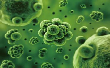 生物下册工作计划7篇