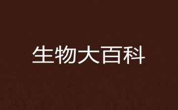 生物老师年终工作总结7篇