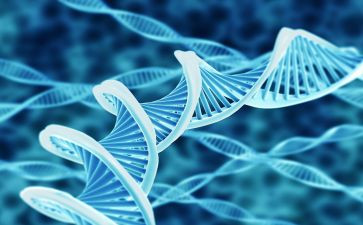 初中生物年度工作计划7篇