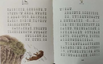 《斑羚飞渡》的读后感推荐8篇