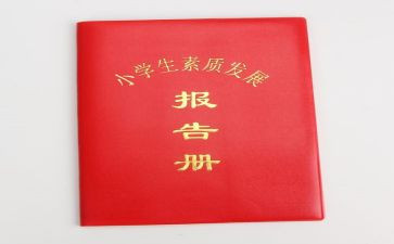 报告册自我鉴定通用8篇