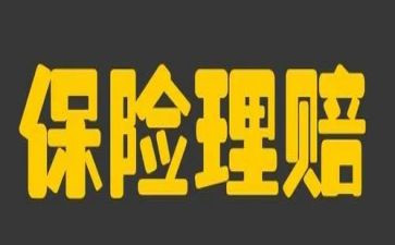 保险公司年终个人总结优秀8篇