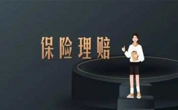 保险公司个人上半年工作总结8篇