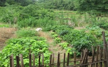 湘菜季度工作总结通用8篇