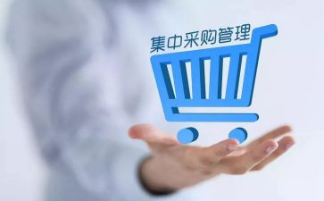 采购处工作总结模板8篇