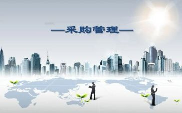 采购年终总结个人总结优质8篇