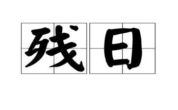 学校助残日活动方案5篇