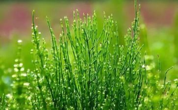 草草原上的小木屋读后感通用7篇