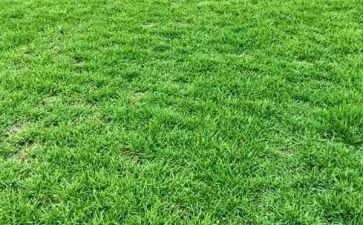 烟草人员工作总结范文5篇
