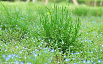 烟草员工年终总结7篇