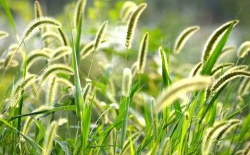 2024年烟草述职述廉报告5篇