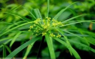 草船读后感400字8篇