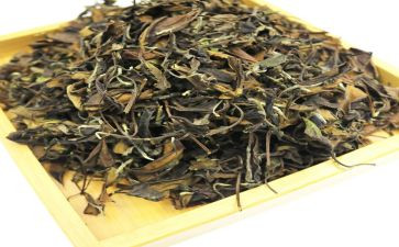 茶道的心得5篇