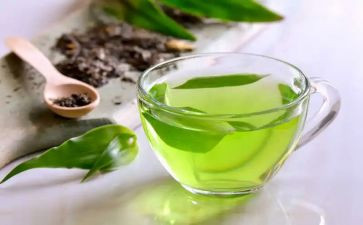 茶心得体会500字最新7篇