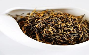 茶的工作计划范文模板8篇
