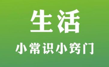 常识工作计划8篇