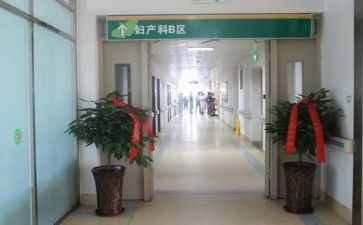 产科护士的工作年终总结6篇