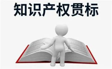 知识产权总结报告5篇